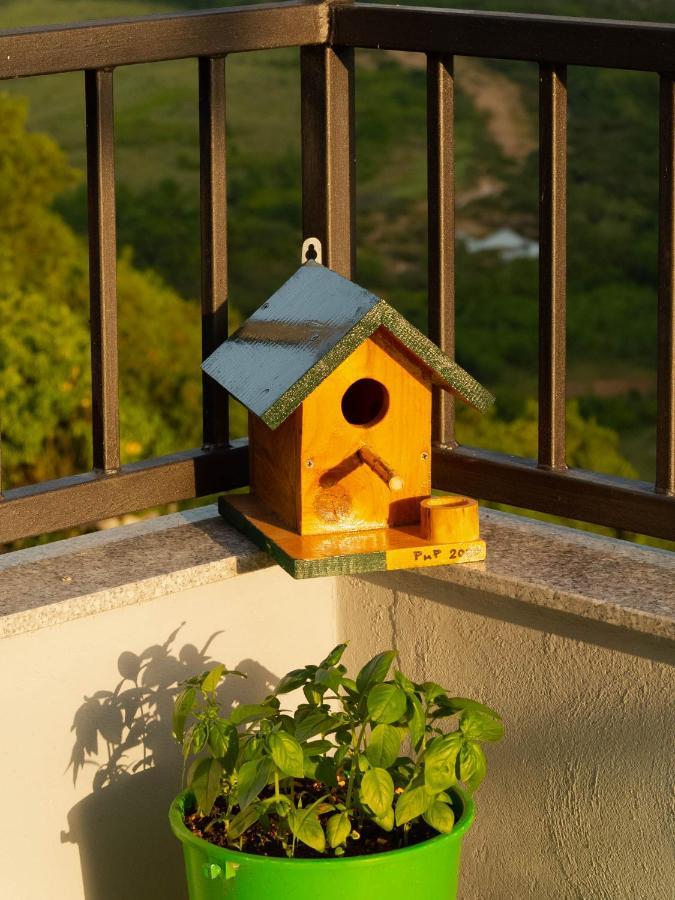 Apartment Village House Ravno Exterior foto